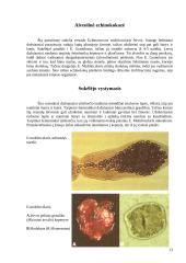 Echinokokozė 12 puslapis