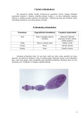 Echinokokozė 3 puslapis