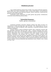 Echinokokozė 7 puslapis