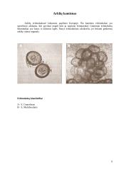 Echinokokozė 8 puslapis