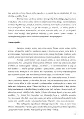 Egzotikos poetika Abdourahman A. Waberi novelių knygoje "Šalis be šešėlio" 12 puslapis