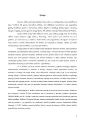 Egzotikos poetika Abdourahman A. Waberi novelių knygoje "Šalis be šešėlio" 4 puslapis