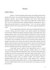 Egzotikos poetika Abdourahman A. Waberi novelių knygoje "Šalis be šešėlio" 6 puslapis