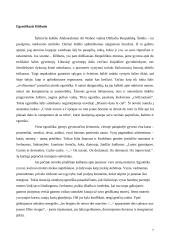 Egzotikos poetika Abdourahman A. Waberi novelių knygoje "Šalis be šešėlio" 7 puslapis