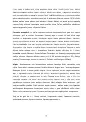 Ekologinis žemės ūkis ir ekologiška produkcija 19 puslapis