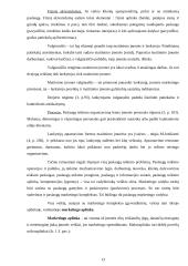 Konkurencinių pranašumų didinimo galimybės: UAB "Čilija" "Čili picos" 13 puslapis