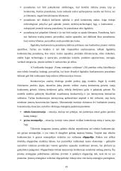 Konkurencinių pranašumų didinimo galimybės: UAB "Čilija" "Čili picos" 19 puslapis