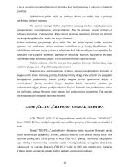 Konkurencinių pranašumų didinimo galimybės: UAB "Čilija" "Čili picos" 20 puslapis