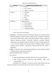 Konkurencinių pranašumų didinimo galimybės: UAB "Čilija" "Čili picos" 9 puslapis