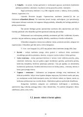 Konkurencinių pranašumų didinimo galimybės: UAB "Čilija" "Čili picos" 10 puslapis