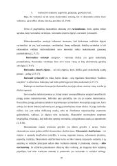 Ekonomikos kaip mokslo samprata 19 puslapis