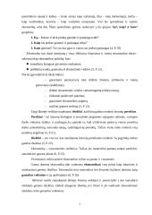 Ekonomikos kaip mokslo samprata 8 puslapis