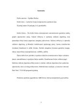 Lanksčios linijos komponavimo optimizavimas