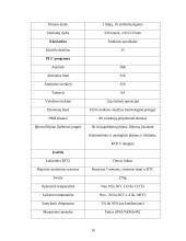 Lanksčios linijos komponavimo optimizavimas 17 puslapis