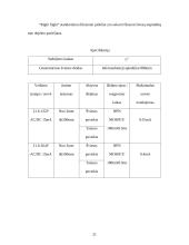 Lanksčios linijos komponavimo optimizavimas 19 puslapis