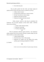 Ekonominės ekologinės problemos  11 puslapis