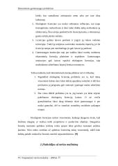 Ekonominės ekologinės problemos  14 puslapis