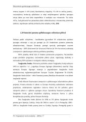 Ekonominės ekologinės problemos  16 puslapis