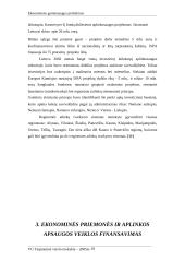 Ekonominės ekologinės problemos  18 puslapis