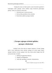 Ekonominės ekologinės problemos  9 puslapis