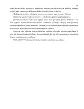 Lengvųjų automobilių išardymo – surinkimo skyriaus projektavimas: UAB "Akstė" 20 puslapis