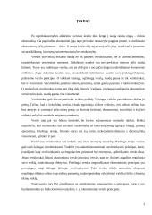 Ekonominiai verslo principai Lietuvoje 2 puslapis