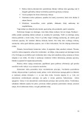 Ekonominiai verslo principai Lietuvoje 13 puslapis