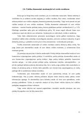 Ekonominiai verslo principai Lietuvoje 14 puslapis