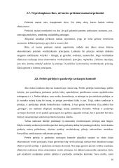 Ekonominiai verslo principai Lietuvoje 15 puslapis