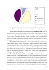 Ekonominiai verslo principai Lietuvoje 6 puslapis