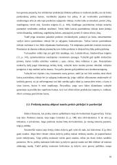 Ekonominiai verslo principai Lietuvoje 9 puslapis