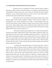 Lietuvos bankų teikiamos paslaugos fiziniams asmenims 13 puslapis