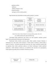Lietuvos bankų teikiamos paslaugos fiziniams asmenims 10 puslapis