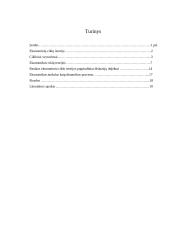 Ekonominių ciklų teorijos 20 puslapis