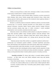 Ekonominių ciklų teorijos 5 puslapis