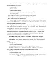 Mechaninių dirbtuvių elektros tinklų rekonstrukcija: AB "Panevėžio keliai" 8 puslapis