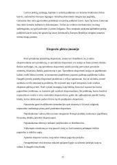 Eksporto galimybių plėtra: AB "Pieno žvaigždės" 12 puslapis