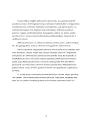 Eksporto galimybių plėtra: AB "Pieno žvaigždės" 14 puslapis