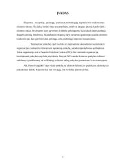 Eksporto galimybių plėtra: AB "Pieno žvaigždės" 3 puslapis