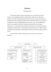 Eksporto galimybių plėtra: AB "Pieno žvaigždės" 4 puslapis