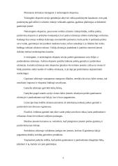 Eksporto galimybių plėtra: AB "Pieno žvaigždės" 5 puslapis