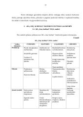 Eksporto plėtros galimybės: audinių audimas AB "Linų Audiniai" 12 puslapis