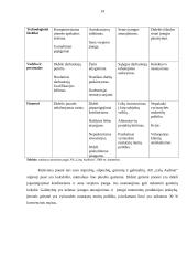 Eksporto plėtros galimybės: audinių audimas AB "Linų Audiniai" 13 puslapis