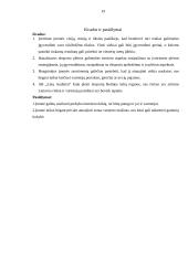 Eksporto plėtros galimybės: audinių audimas AB "Linų Audiniai" 18 puslapis