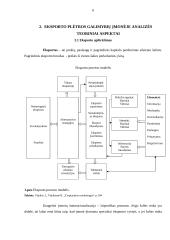 Eksporto plėtros galimybės: audinių audimas AB "Linų Audiniai" 5 puslapis