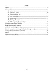 Elektrinių laukų modeliavimas baigtinių elementų metodu. Optimizavimo uždavinio sprendimas modeliuojant 2 puslapis