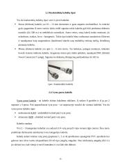 Elektrinių laukų modeliavimas baigtinių elementų metodu. Optimizavimo uždavinio sprendimas modeliuojant 5 puslapis