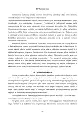 Elektrinių laukų modeliavimas baigtinių elementų metodu. Optimizavimo uždavinio sprendimas modeliuojant 6 puslapis