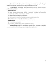 Nepilnamečių, tapusių komercinio seksualinio išnaudojimo aukomis, psichosocialinių poreikių analizė 4 puslapis