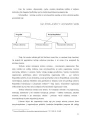 Nevyriausybinių organizacijų (NVO) situacijos Lietuvoje analizė: nevyriausybinių organizacijų (NVO) veiklos ypatumai, problemos, 11 puslapis